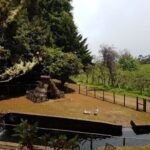 Madeira: Santana Traditional Houses Private Half-Day Tour - Who Will Love This Tour?