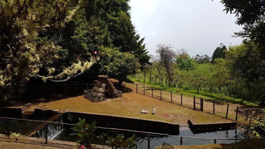 Madeira: Santana Traditional Houses Private Half-Day Tour - Who Will Love This Tour?