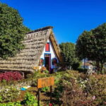 Madeira: Sightseeing Tour - What’s Included and Practical Tips