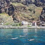 Madeira: Sunset Dinner Cruise - What You’ll Love and What to Consider