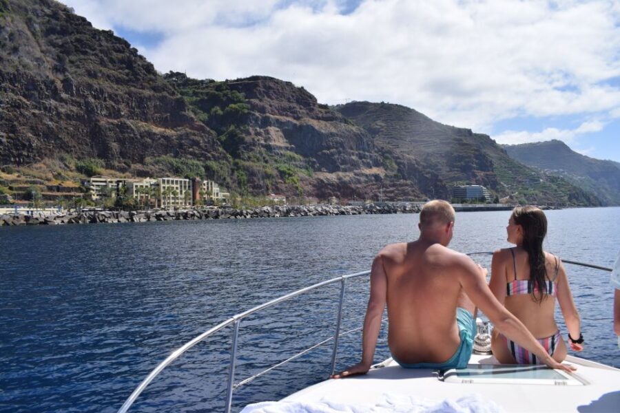 Madeira: Whale and Dolphin Watching Private Cruise - What You Can Expect During the Tour