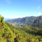 Madeira: Wine Safari Jeep Tour with Local Guide - A Well-Structured Itinerary with Highlights at Each Stop