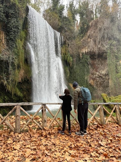 Madrid: Explore the Monasterio de Piedra and discover Sigüenza - Analyzing the Value