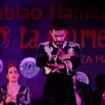 Madrid: Flamenco Show La Quimera with Drinks & Dinner Option - The Overall Value and Who It’s Best For