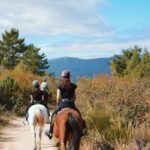Madrid: Horse Riding in Sierra del Guadarrama National Park - What Sets This Tour Apart