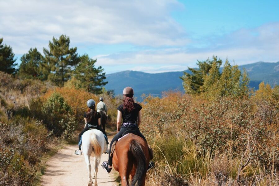 Madrid: Horse Riding in Sierra del Guadarrama National Park - What Sets This Tour Apart
