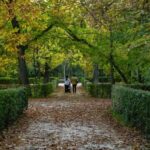 Madrid: Private Retiro Park Tour With Local Guide - Key Points