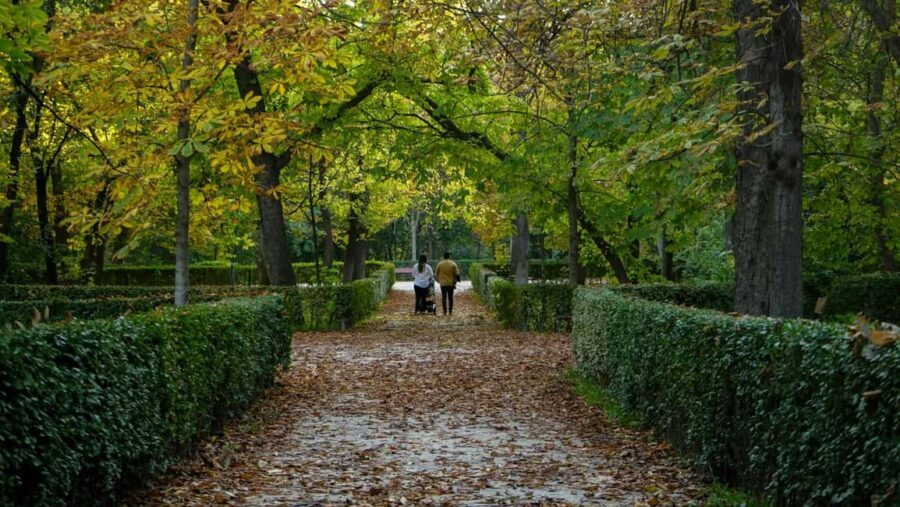 Madrid: Private Retiro Park Tour With Local Guide - Key Points