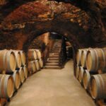 Madrid: Regional Madrid Wineries Guided Tour and Tastings - A Closer Look at the Tour Itinerary
