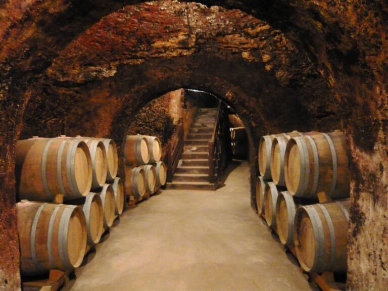 Madrid: Regional Madrid Wineries Guided Tour and Tastings - A Closer Look at the Tour Itinerary