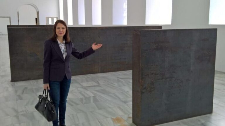 Madrid Reina Sofia Museum & Picasso's Guernica Private Tour - The Experience of the Tour