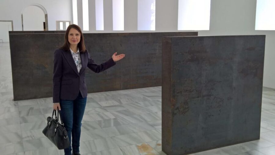 Madrid Reina Sofia Museum & Picasso's Guernica Private Tour - The Experience of the Tour