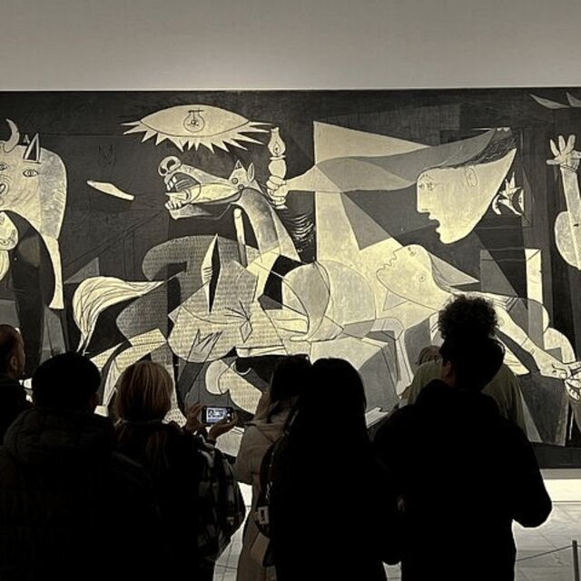 Madrid: Reina Sofia Private Guided Tour with Expert Guide - The Itinerary in Detail