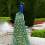 Madrid: Retiro Park Guided Walking Tour with Gourmet Tapas - Who Should Consider This Tour?