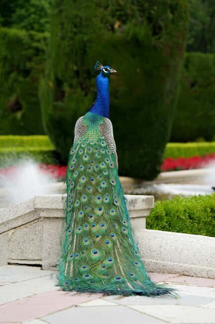 Madrid: Retiro Park Guided Walking Tour with Gourmet Tapas - Who Should Consider This Tour?