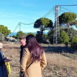 Madrid Wine Tour: Discover Unique Local Wineries & Tastings - What Makes This Tour Stand Out?