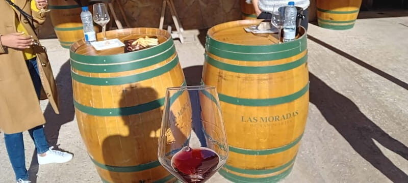 Madrid Winery Tour: Visit & Tasting With Sommelier Guide - In-Depth Look at the Itinerary