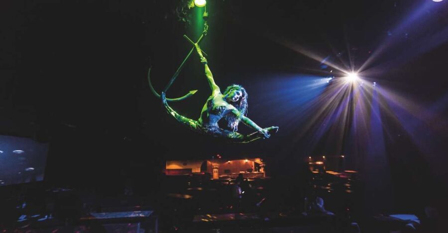 Magaluf: Pirates Adventure Dinner Show Ticket - Who Will Love This Experience?