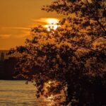 Mainz: guided evening tour of the Rhine riverbank/old town in German and English - The Experience in Detail