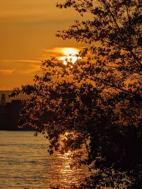 Mainz: guided evening tour of the Rhine riverbank/old town in German and English - The Experience in Detail