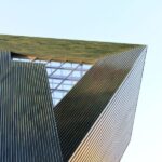 Mainz: Private Walking Tour With Professional Guide - The Itinerary: What You Can Expect