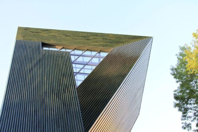 Mainz: Private Walking Tour With Professional Guide - The Itinerary: What You Can Expect