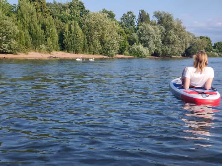 Mainz: Stand Up Paddling Tour on the Rhine River - Who Will Love This Experience?