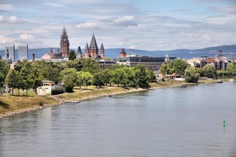 Mainz : Walking Custom Tour with a Local Guide - What to Expect During the Tour