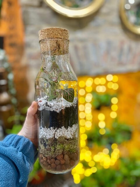 Make Your Own Terrarium in a houseplant paradise - Why This Experience Stands Out