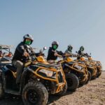Málaga: 1-Hour Off-Road Tour by 2-Seater Quad in Mijas - Wildlife and Natural Encounters