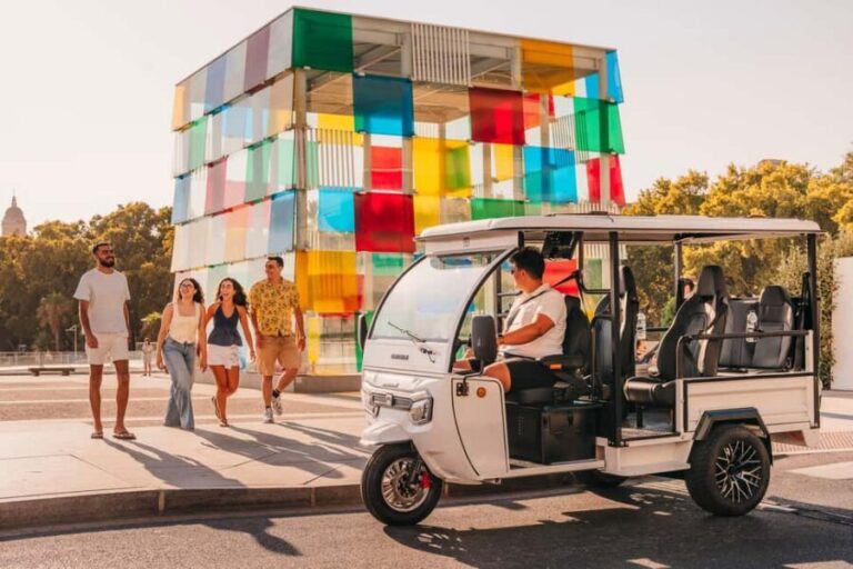 Málaga: 1-hour Private Tuk Tuk Tour - Who This Tour Is Best For