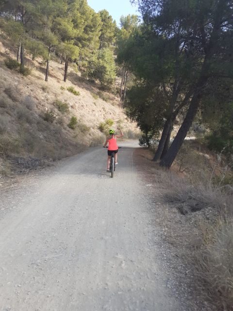 Málaga: 3-Hour E-Bike Tour of Montes de Malaga Natural Park - What’s Included and What to Expect
