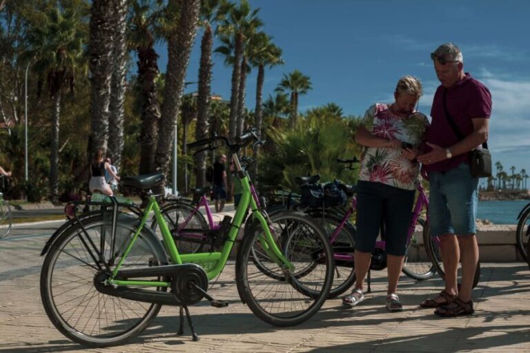 Malaga Bike Tour - Old Town, Marina & Beach - Who Should Consider This Tour?