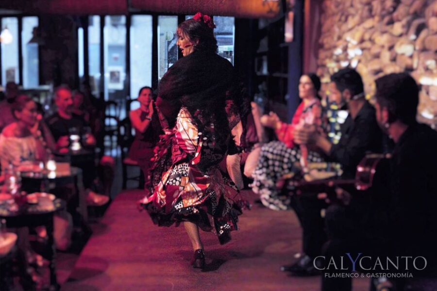 Malaga: El Gallo Ronco Flamenco Show Admission Ticket - What Can You Expect During the Show?