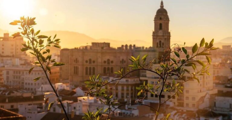 Malaga: Express Walk with a Local in 60 minutes - Who Will Love This Experience?