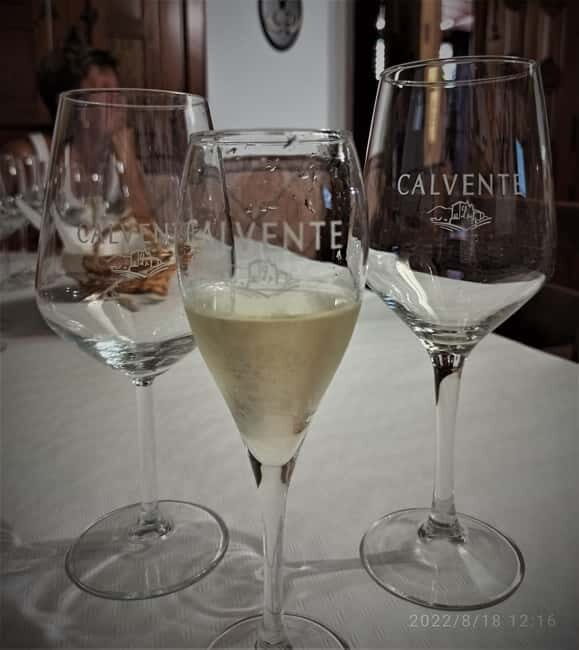 Malaga & Granada: Wine Tasting and Tapas with Resort Pickup - Practical Tips for Your Tour