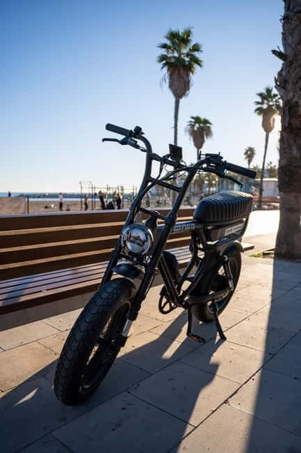 Malaga: Guided E-Fatbike Tour with Panoramic Views - Practical Details and Value