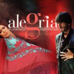Málaga: Live Flamenco Show at Flamenco Alegría - Authenticity and Cultural Value