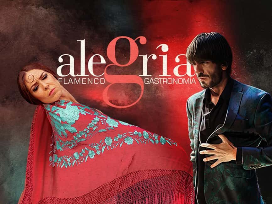 Málaga: Live Flamenco Show at Flamenco Alegría - Authenticity and Cultural Value