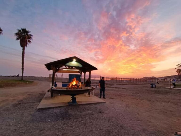 Malaga: Sardines On Skewers Show Cooking on the Beach - Visiting the Fishermen’s Quarter