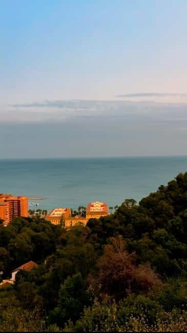 Malaga: Tour in a comfortable, modern, eco-friendly, and socially conscious electric tuk tuk. - Who Should Book This Tour?