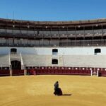 Malaga: Tour of Malagueta Bullring & Immersive Exhibition - Practical Details and Value