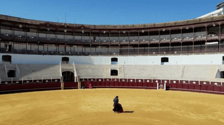 Malaga: Tour of Malagueta Bullring & Immersive Exhibition - Practical Details and Value