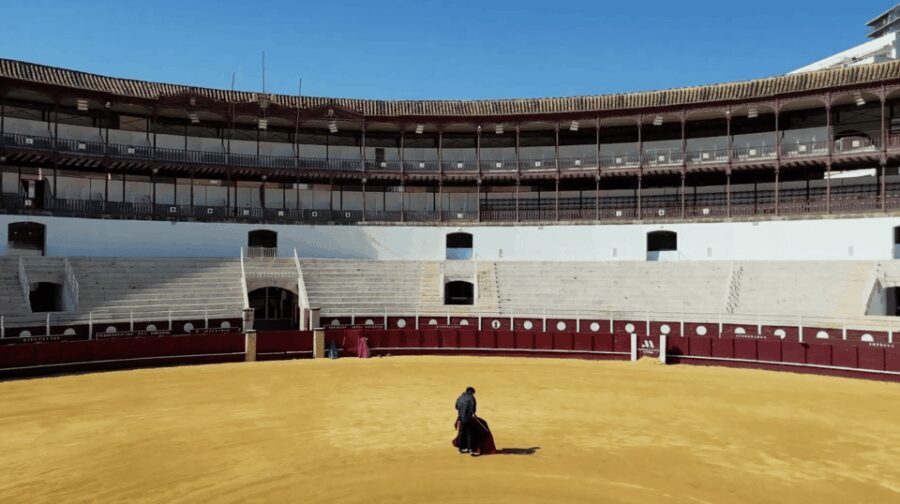 Malaga: Tour of Malagueta Bullring & Immersive Exhibition - Practical Details and Value