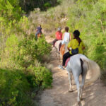 Mallorca: Activity, Antique Mallorca with Picnic - Why This Tour Works Well