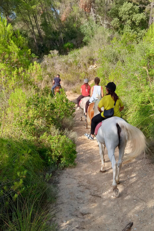 Mallorca: Activity, Antique Mallorca with Picnic - Why This Tour Works Well