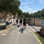 Mallorca: Activity with Horses, Antique Mallorca - The Itinerary: What’s Included and Why It Matters