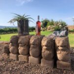 Mallorca: Bodega Butxet Vineyards & Winery Tour with Tasting - Who Will Love This Tour?