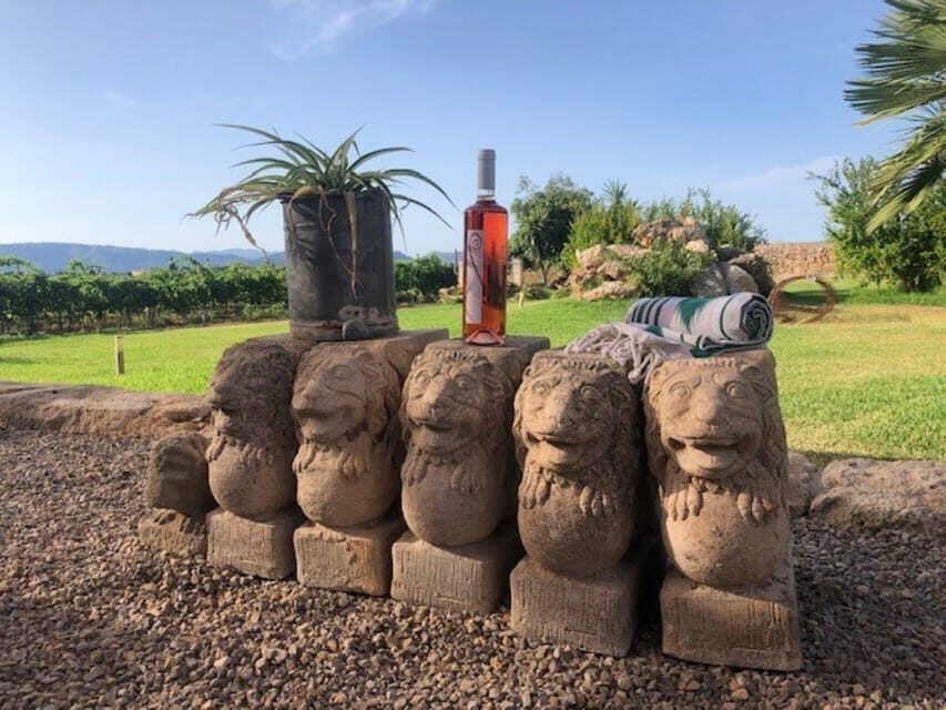 Mallorca: Bodega Butxet Vineyards & Winery Tour with Tasting - Who Will Love This Tour?