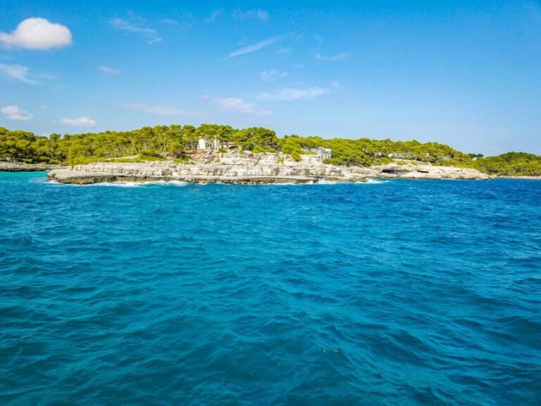 Mallorca: Cala Mondragó Natural Park Jetski Tour - The Experience from the Reviews